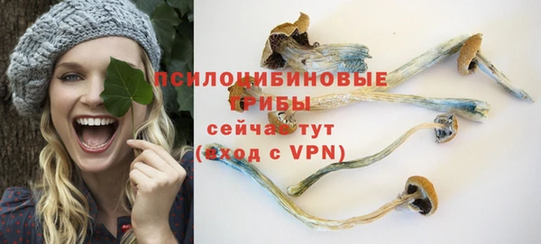 спиды Алексин