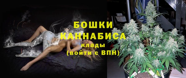 мяу мяу мука Абаза