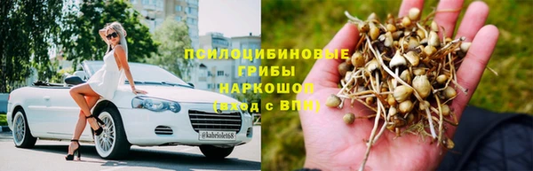 спиды Алексин