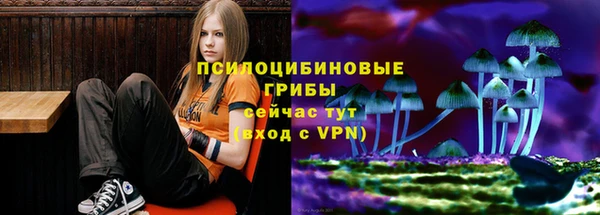 ПСИЛОЦИБИНОВЫЕ ГРИБЫ Алзамай