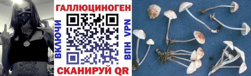 хочу   Старая Русса  Галлюциногенные грибы мухоморы 